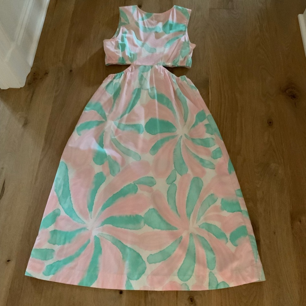 Rails Rizo Dress - Picture 6 of 8
